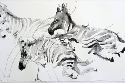 Seeing And Being Seen: Drawing An Anti-Zoo Of Liberated Animals | Morton Fine Art, Washington D.C.