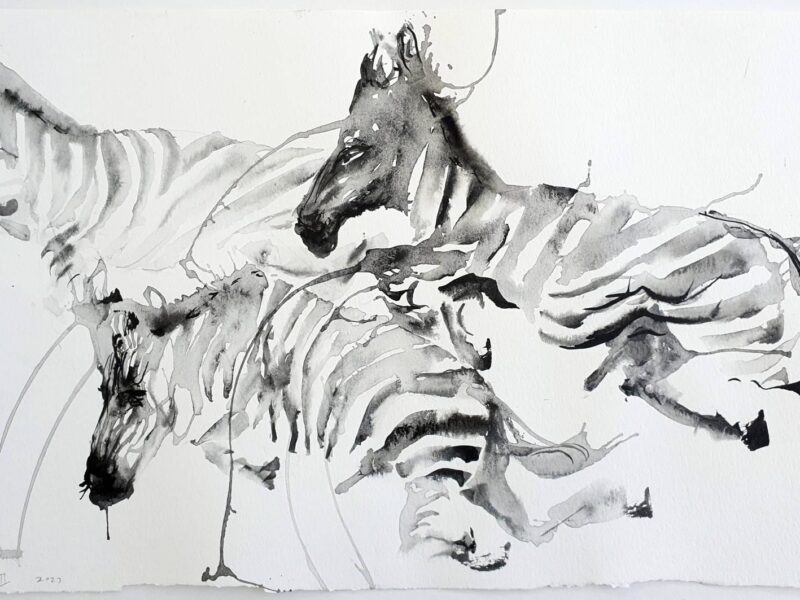 Seeing And Being Seen: Drawing An Anti-Zoo Of Liberated Animals | Morton Fine Art, Washington D.C.
