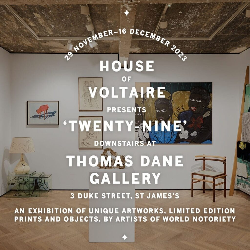 House of Voltaire presents TWENTY-NINE, downstairs at Thomas Dane Gallery
