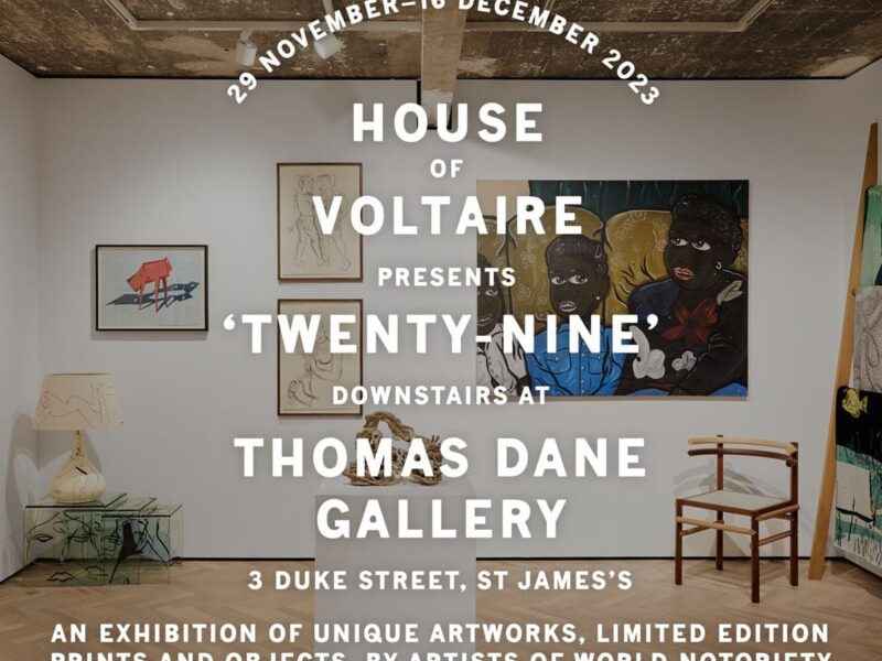 House of Voltaire presents TWENTY-NINE, downstairs at Thomas Dane Gallery