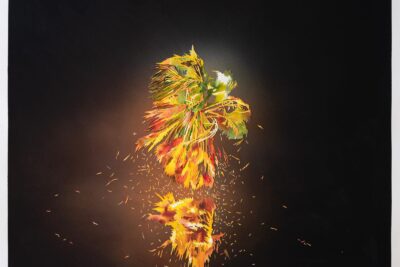 Wilding Cran Gallery announcing representation of Francesca Gabbiani