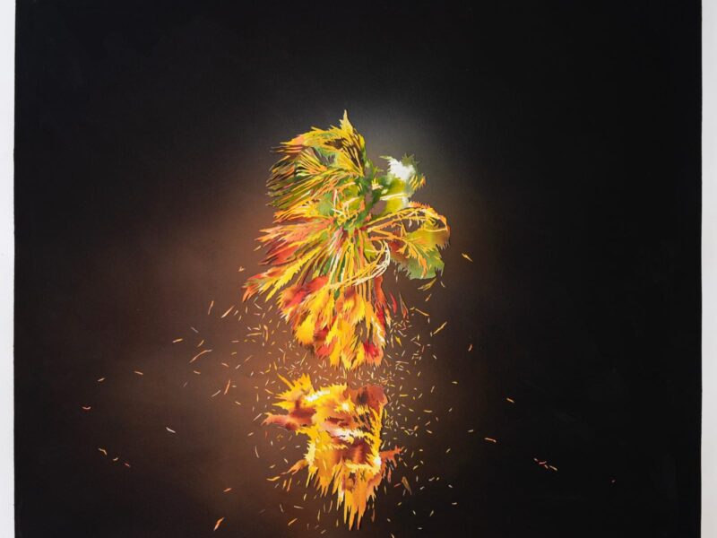 Wilding Cran Gallery announcing representation of Francesca Gabbiani