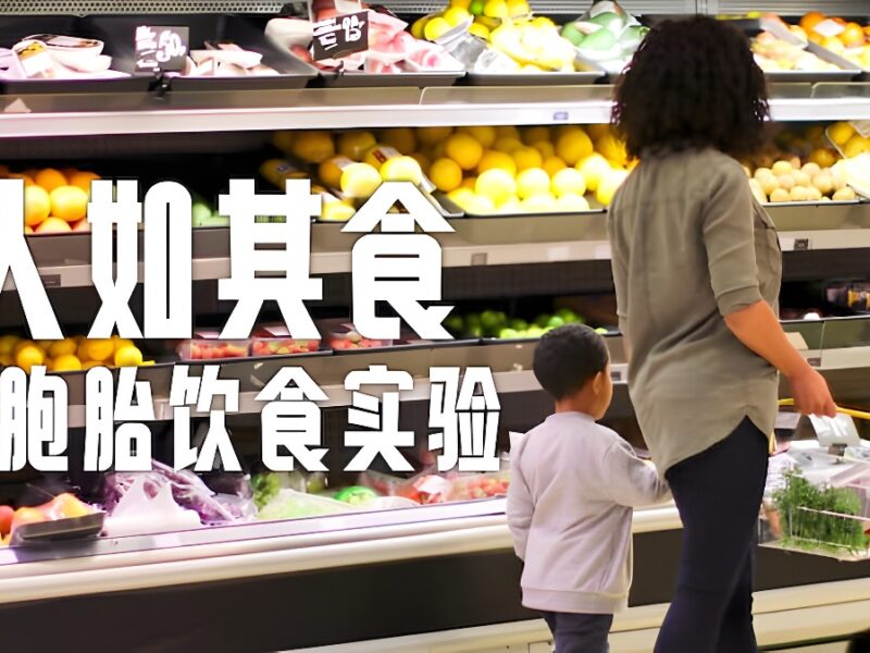 《人如其食：双胞胎饮食实验》Netflix 纪录片：用自然的方式教育，以追求的态度娱乐，用魅力取悦观众