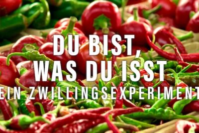 Du bist, was du isst: Ein Zwillingsexperiment – Ein Dokumentarfilm auf Netflix: Bildet ohne zu belehren, unterhält auf natürliche Weise und bezaubert