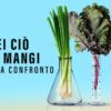 Sei ciò che mangi: gemelli a confronto – Documentario su Netflix: Educa senza rimproverare, diverte in modo naturale ed intrattiene con fascino