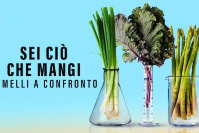 Sei ciò che mangi: gemelli a confronto – Documentario su Netflix: Educa senza rimproverare, diverte in modo naturale ed intrattiene con fascino