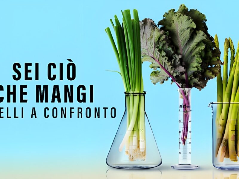 Sei ciò che mangi: gemelli a confronto – Documentario su Netflix: Educa senza rimproverare, diverte in modo naturale ed intrattiene con fascino
