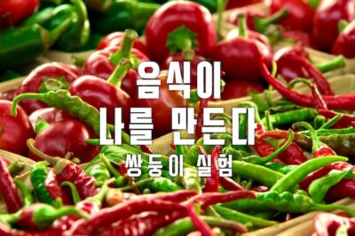 ‘음식이 나를 만든다: 쌍둥이 실험’ – 넷플릭스 다큐멘터리: 타이트하게 꾸며지지 않은 교육으로 즐겁게, 자연스럽게 재미있게 즐기며 매력적인 시간을 가질 수 있습니다