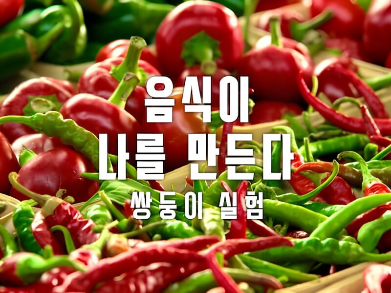 ‘음식이 나를 만든다: 쌍둥이 실험’ – 넷플릭스 다큐멘터리: 타이트하게 꾸며지지 않은 교육으로 즐겁게, 자연스럽게 재미있게 즐기며 매력적인 시간을 가질 수 있습니다