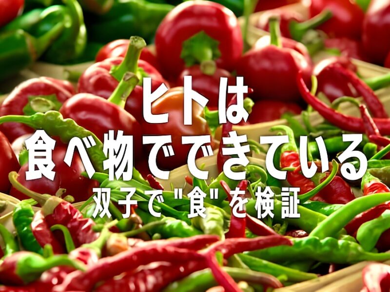 「ヒトは食べ物でできている: 双子で食を検証」Netflixのドキュメンタリー：叱らずに教育し、自然な形で楽しませ、魅力的に娯楽を提供します
