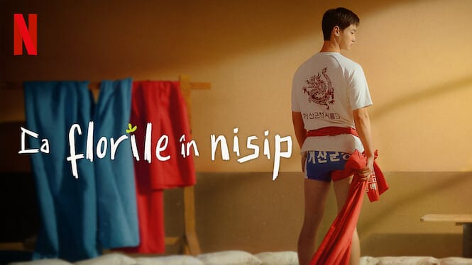 Ca florile în nisip (2023) | O serie romantică coreeană pe Netflix
