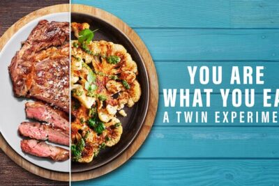 You Are What You Eat: A Twin Experiment – Netflix Documentary: Educate without reprimanding, entertain naturally, and charm with enchantment