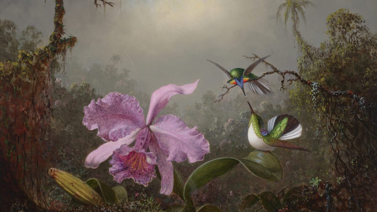 Christie’s 19TH CENTURY AMERICAN & WESTERN ART