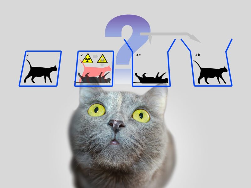 자연스러운 링크와 로맨틱한 사랑