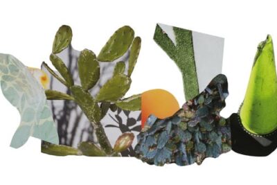 Sandi Haber Fifield: The Thing in Front of You | Yancey Richardson