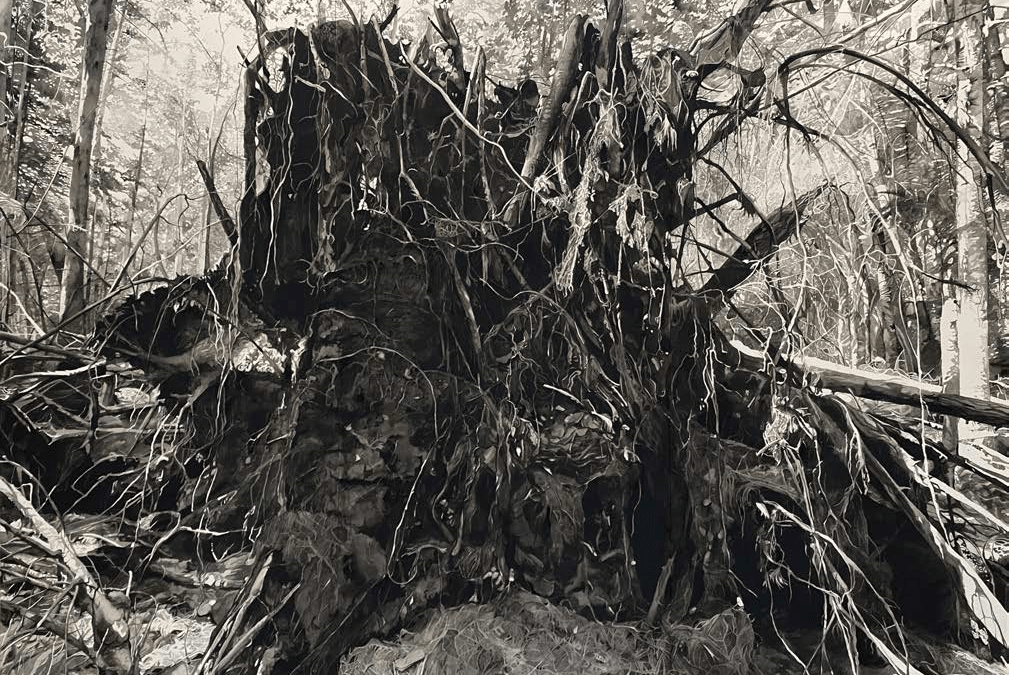 Chris Doyle and Chester Arnold –  Catharine Clark Gallery, San Francisco