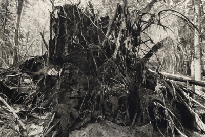 Chris Doyle and Chester Arnold –  Catharine Clark Gallery, San Francisco