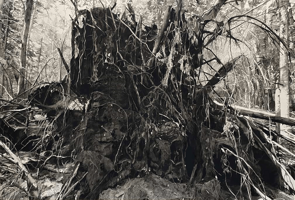 Chris Doyle and Chester Arnold –  Catharine Clark Gallery, San Francisco