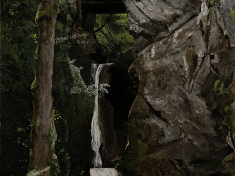 Martin BRUNEAU: Laisser parler les arbres – Galerie Isabelle Gounod