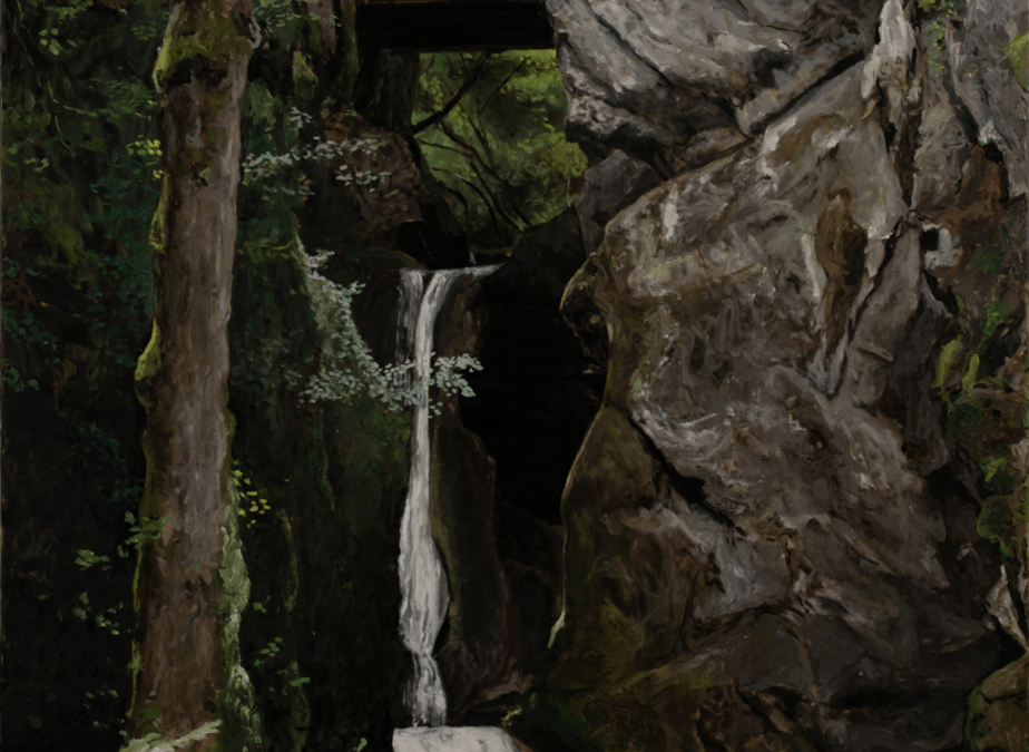 Martin BRUNEAU: Laisser parler les arbres – Galerie Isabelle Gounod