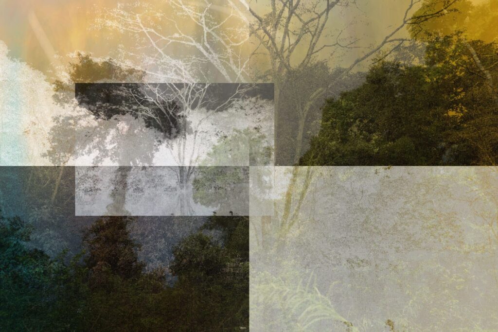 Christie’s New York Announces Creating Connections – Digital Art for Connectivity