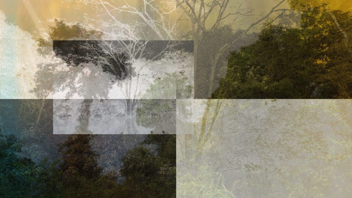 Christie’s New York Announces Creating Connections – Digital Art for Connectivity
