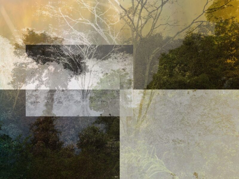 Christie’s New York Announces Creating Connections – Digital Art for Connectivity