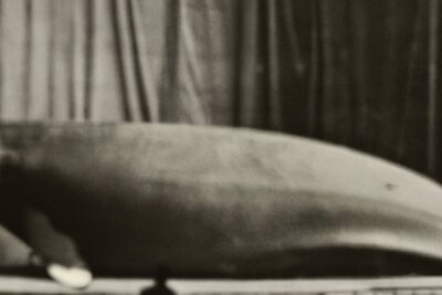 Gagosian to Exhibit New Works by Bennett Miller in Beverly Hills, Opening January 11, 2024