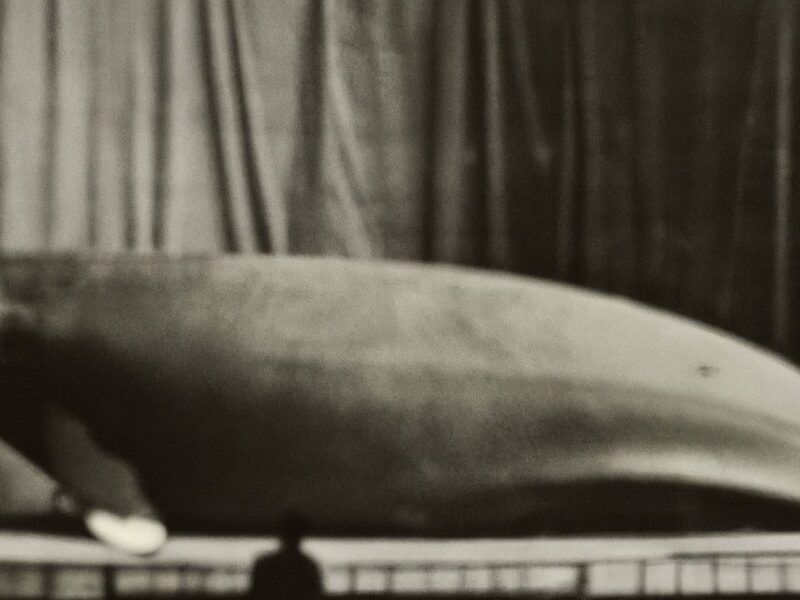 Gagosian to Exhibit New Works by Bennett Miller in Beverly Hills, Opening January 11, 2024