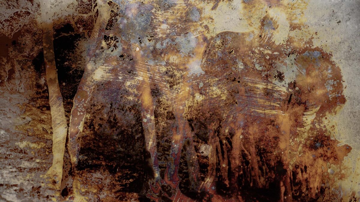 Joan Fontcuberta. Cultura di polvere | Museo Fortuny, Venezia