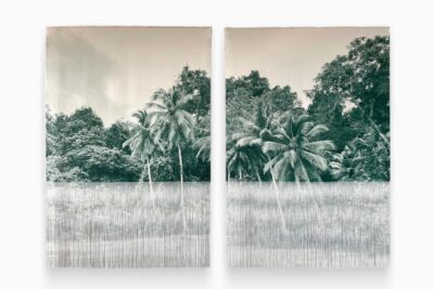 Ana González: Verdes – Sean Kelly, Los Angeles