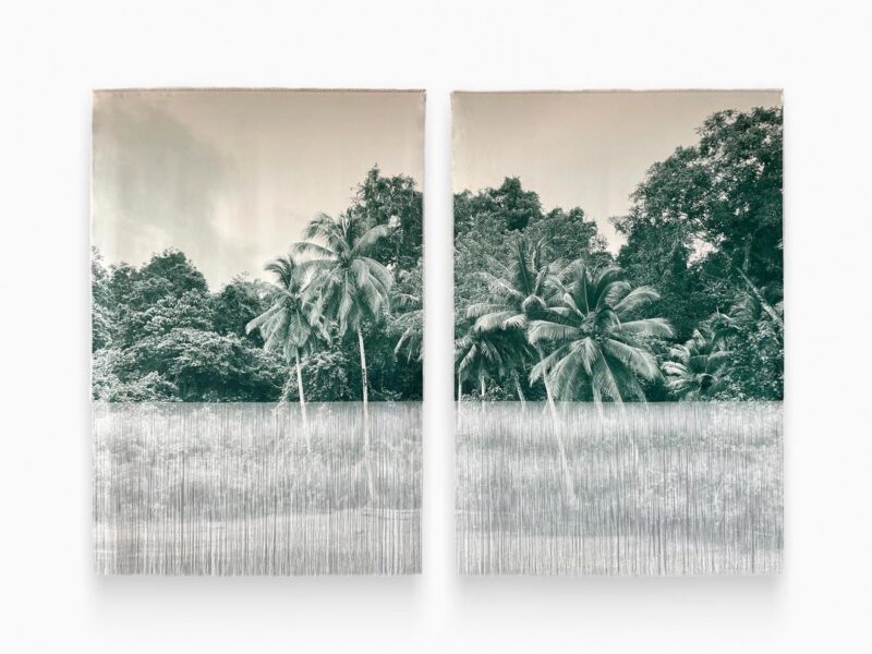 Ana González: Verdes – Sean Kelly, Los Angeles