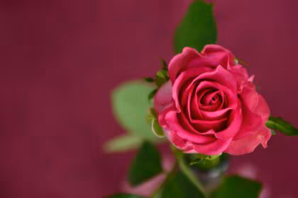 Who was the real Saint Valentine