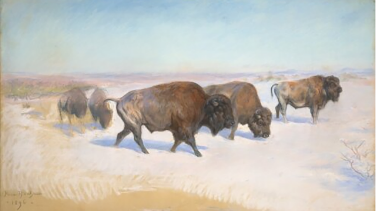 Rosa Bonheur’s American Dream to be auctioned on 20 March – Christie’s