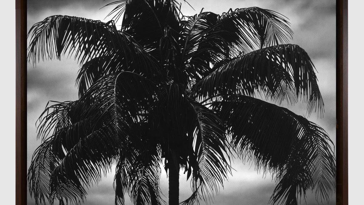 Pace Gallery at Frieze Los Angeles