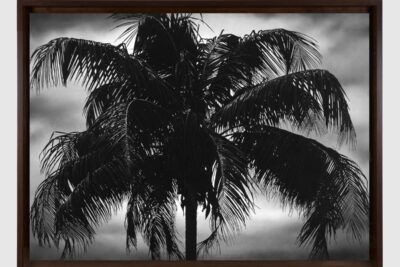 Pace Gallery at Frieze Los Angeles