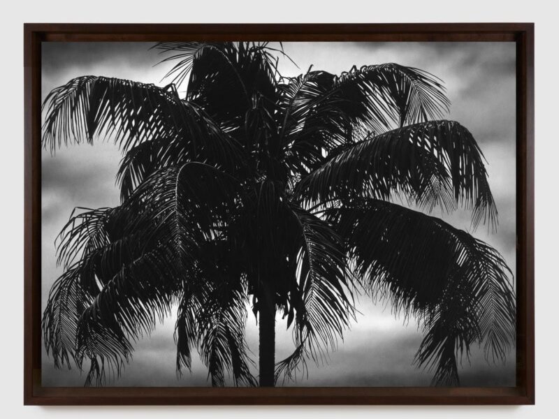 Pace Gallery at Frieze Los Angeles