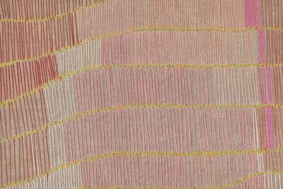 Natasza Niedziółka 273 Days – Sean Kelly, New York