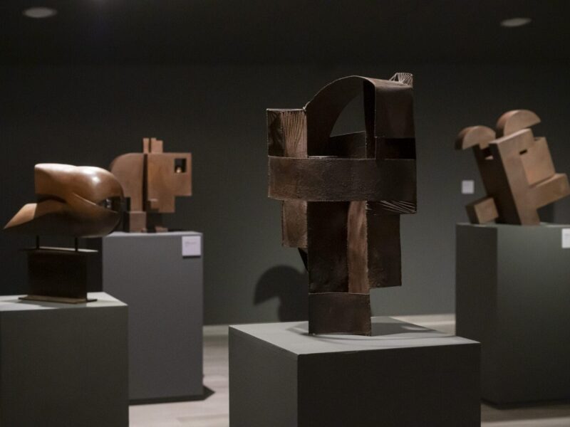 Fundación Bancaja presenta la exposición Nassio Bayarri