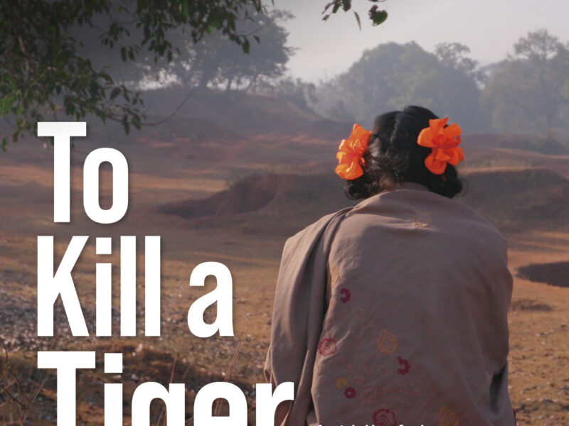 Matar a un tigre (2022). Documental en Netflix: Una terrible verdad sobre justicia, drama e intolerancia en la India