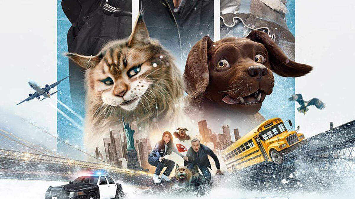 「Cat & Dog」(2024) – ネットフリックス映画：キャラクターが魅力的なフランスのコメディ