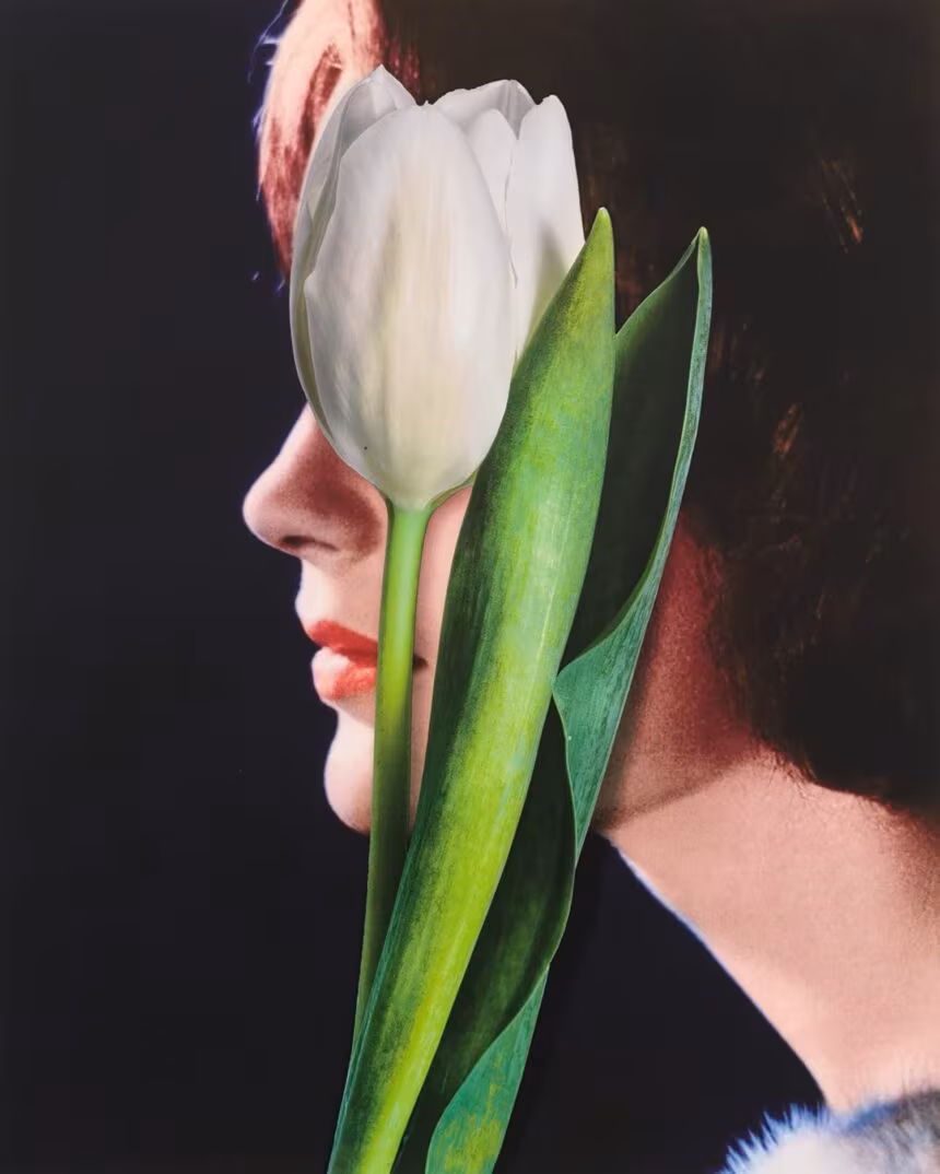 Urs Fischer, White Tulip,