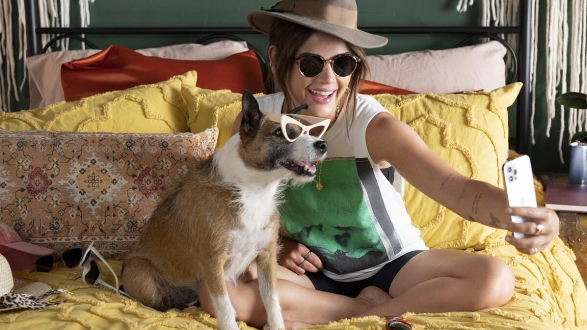 《Puppy Love》浪漫喜剧电影在Prime Video上：春天来了，爱情来了…还有的狗狗的怀孕来了