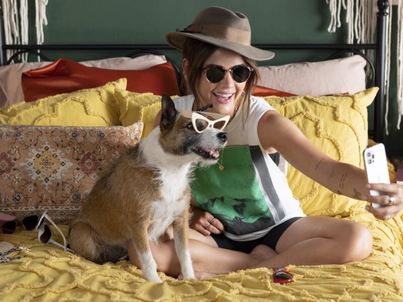 “Pais de Pets” Comédia romântica no Prime Video: A primavera chega, o amor…. E as gravidezes caninas