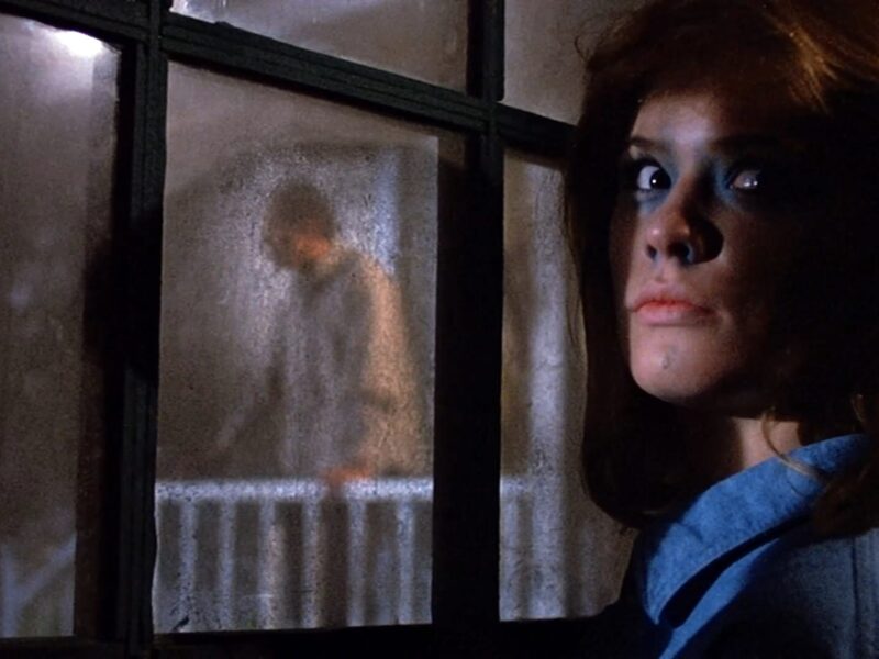 ‘컴퓨터 인간’ (1986) 웨스 크레이븐 감독의 호러 영화: 80년대의 매력적인 공포(이미 AI와 함께)