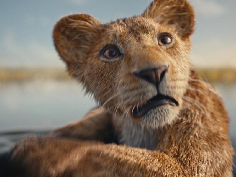 „Mufasa: The Lion King” – O Nouă Saga a Regatului în Sălile de Cinema pe 20 Decembrie
