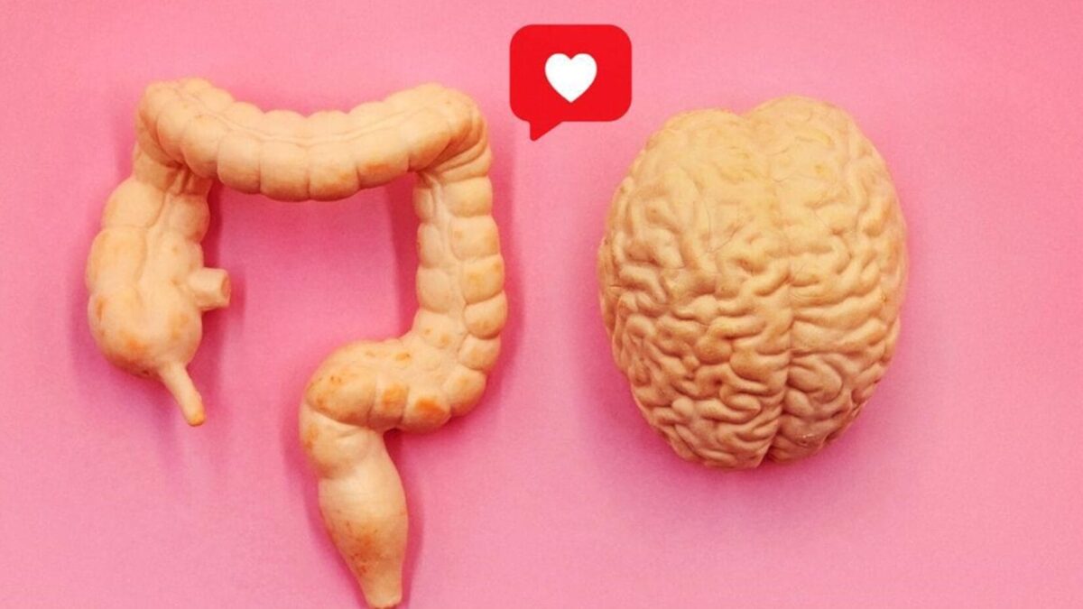 「健康超分析: 知られざるオナカの世界」Netflixで展開される、腸内フローラを通じた魅力的な旅。