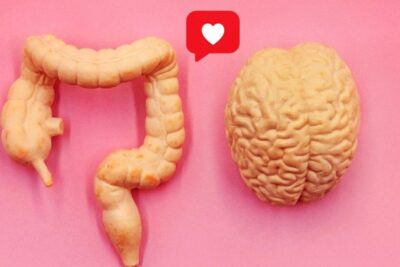 Descifra tu salud: Los secretos del intestino: Un documental en Netflix que plantea un apasionante viaje al intestino a través del microbioma