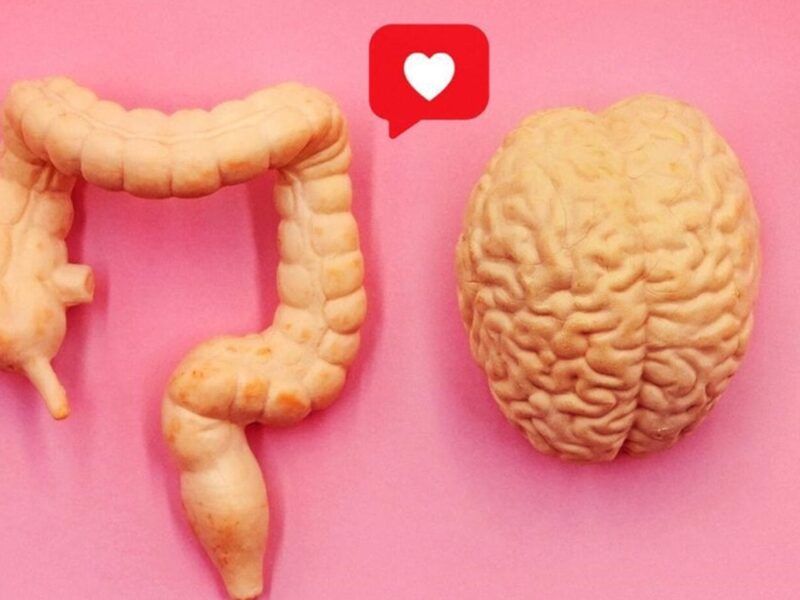 「健康超分析: 知られざるオナカの世界」Netflixで展開される、腸内フローラを通じた魅力的な旅。