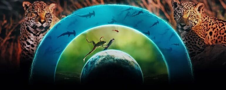 「Our Living World: 生きている地球」Netflixのドキュメンタリーシリーズ：エコロジカルバランスを通じた地球へのトリビュート